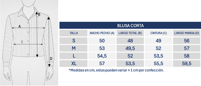 Blusa Rayas Azul Claro